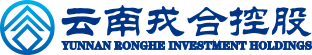 云南戎合控股
