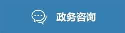 政务咨询